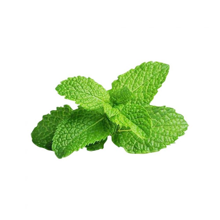 Mint-Leaves-Pudina-768x768 (2)